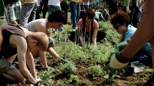 Promítání: Guerriloví zahradníci 