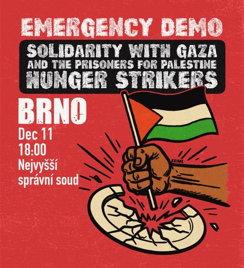 Emergency demonstrace za Jonáše Cinka a vězně pro Palestinu držící hladovku