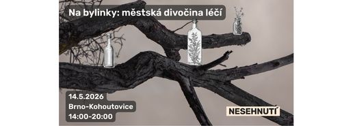 Na bylinky: městská divočina léčí