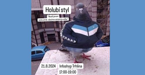 Holubí styl: Povídání o životě holubů ve městě