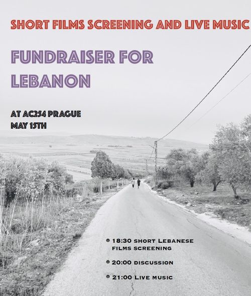 Fundraiser for Lebanon