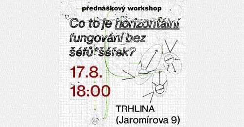 Co je horizontální fungování bez šéfů*šéfek?