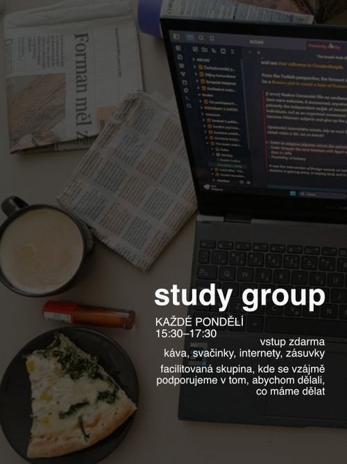 Studijní a pracovní skupina v Hnízdě
