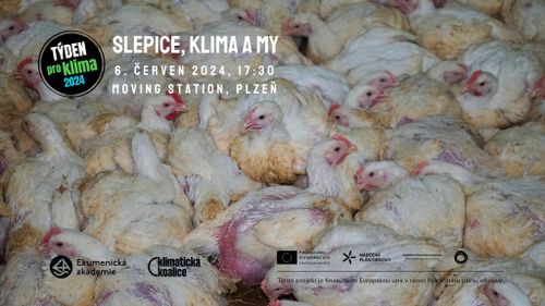 Slepice, klima a my! Debata, promítání a veganské ochutnávky