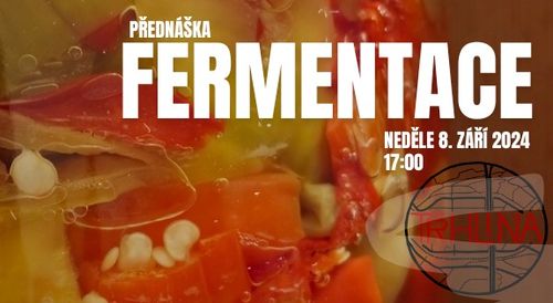 Přednáška o ✨ fermentaci ✨