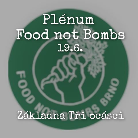 Plénum FnB Brno (VI/26)